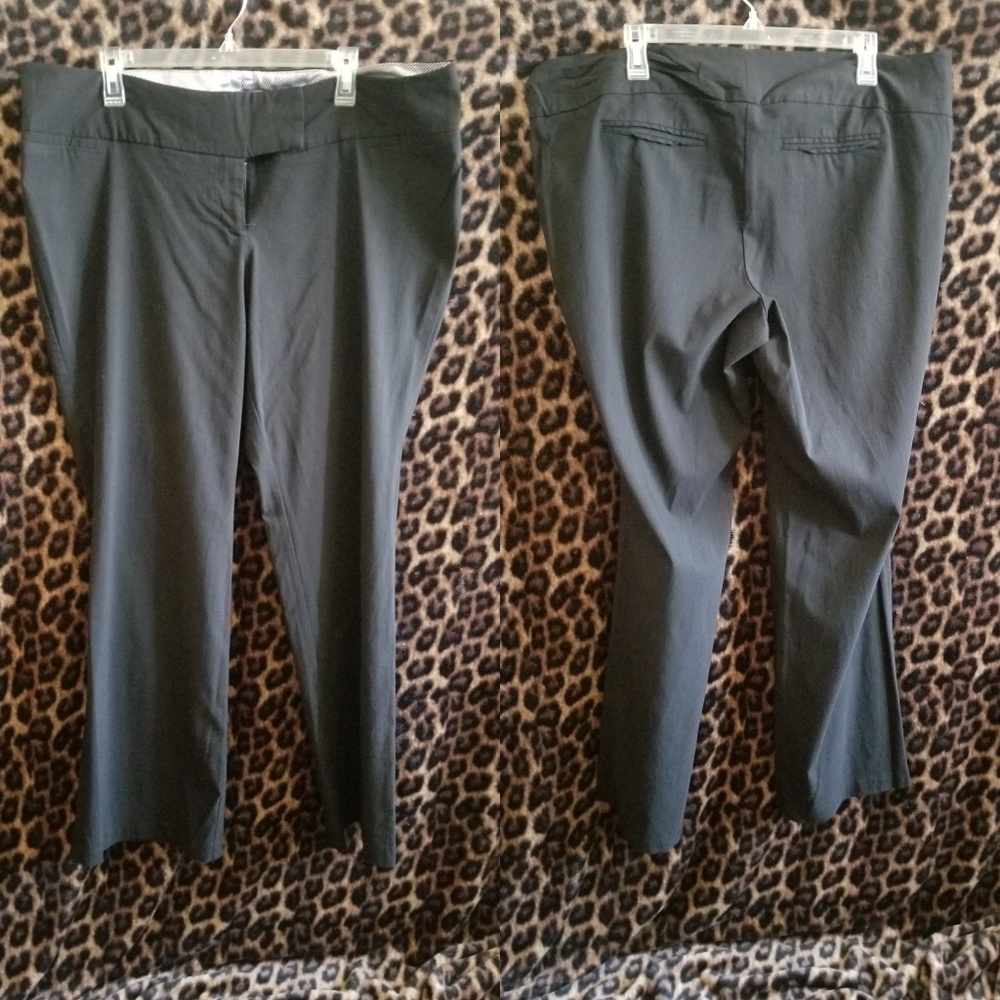 Gray Pants